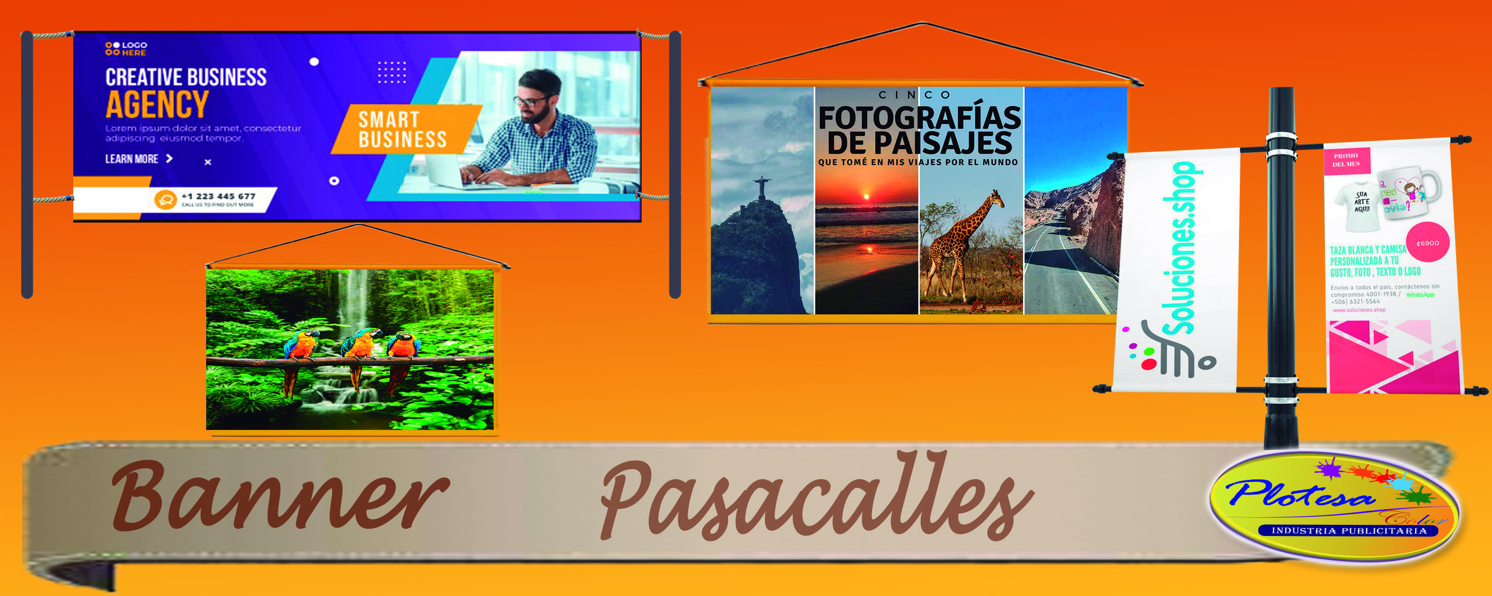 Servicios - plotesacolor